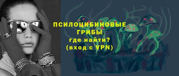 ГАЛЛЮЦИНОГЕННЫЕ ГРИБЫ Заводоуковск