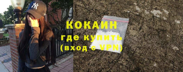 ГАЛЛЮЦИНОГЕННЫЕ ГРИБЫ Заводоуковск