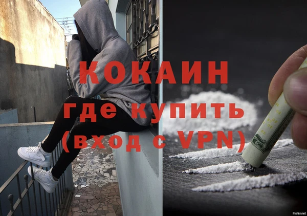 ГАЛЛЮЦИНОГЕННЫЕ ГРИБЫ Заводоуковск