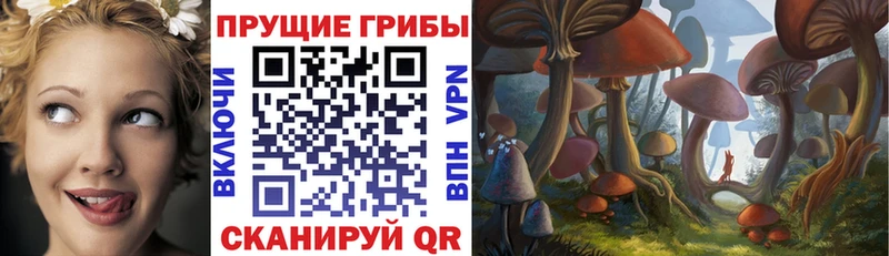 Галлюциногенные грибы MAGIC MUSHROOMS  Купить  Малмыж 